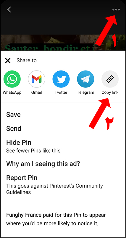 3) دانلود ویدیو از پینترست با گوشی‌های ios