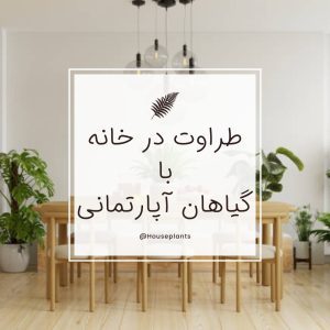 نمونه کار ادمین آرزو ملکان