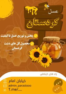 نمونه کار ادمین پرستو محمودپوری