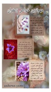 نمونه کار ادمین فاطمه غلامی