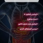 نمونه کار سارا کریمی
